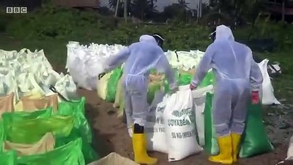 yt1s.com - Sri Lanka faces environmental disaster as oil pours from stricken ship  BBC News