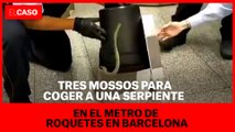 Tres mossos para coger a una serpiente en el metro de Roquetes en Barcelona
