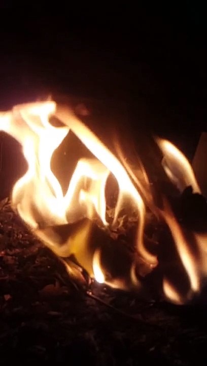 Short Video 1
