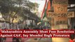 Maharashtra Assembly Must Pass Resolution Against CAA’, Say Mumbai Bagh Protestors | The Wire