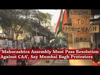 Maharashtra Assembly Must Pass Resolution Against CAA’, Say Mumbai Bagh Protestors | The Wire