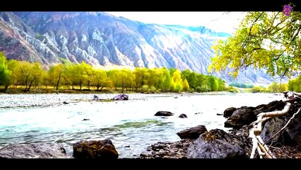 logo-15-min-river-20210427-235927