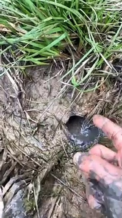 Best Fishing Video || Amazing Fishing || Tik Tok China || shorts