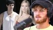 Logan Paul Shades Bryce Hall & Josie Canseco Reacts To Dating Rumors