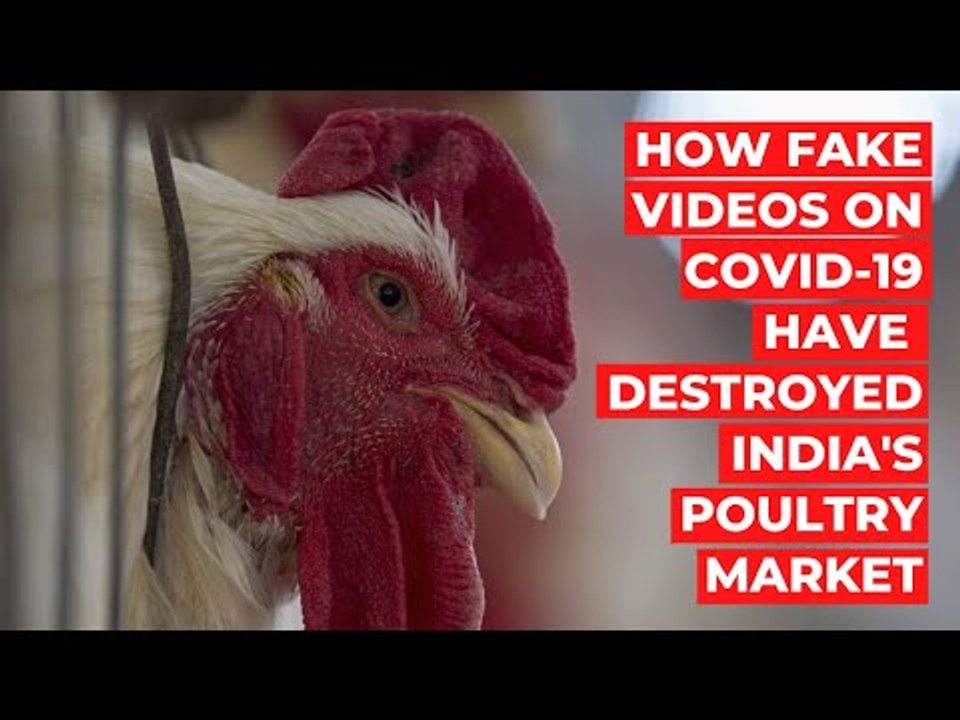 How Fake Videos on COVID-19 Have Battered The Poultry Market in India | The Wire