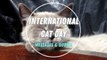 International Cat Day Messages & Cat Quotes _ Slogans – August 8