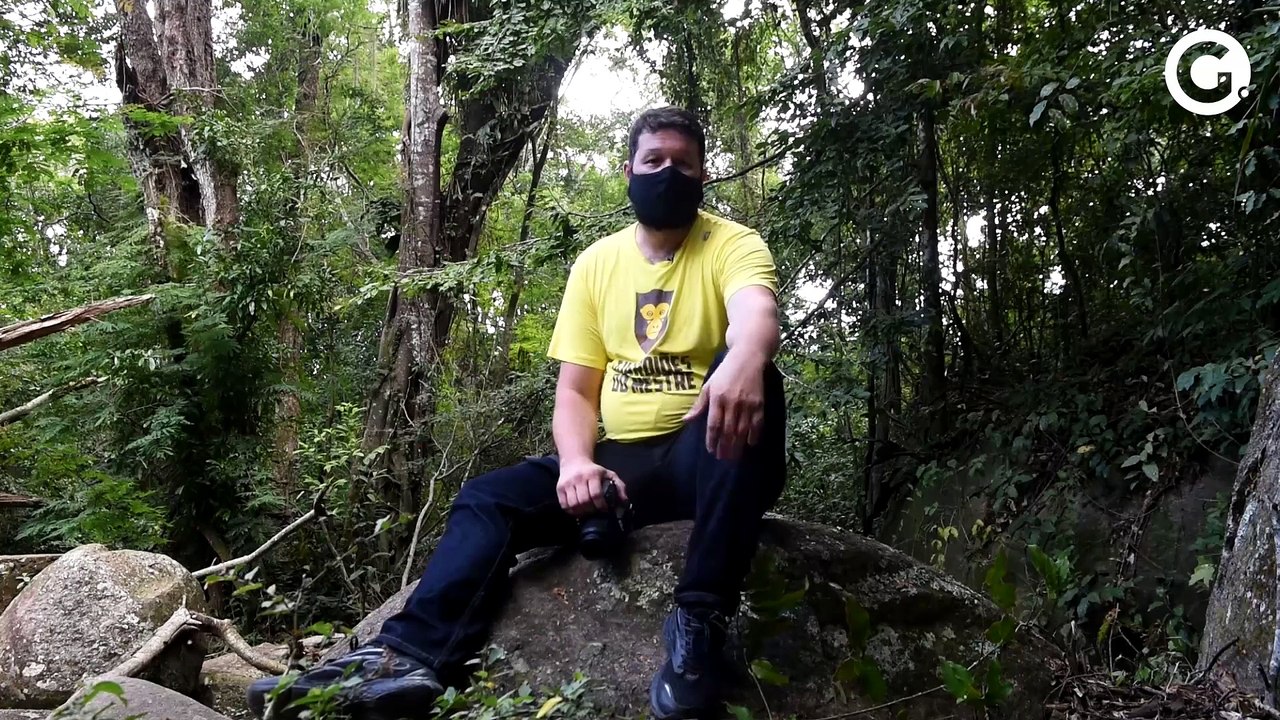 Dia do Meio Ambiente