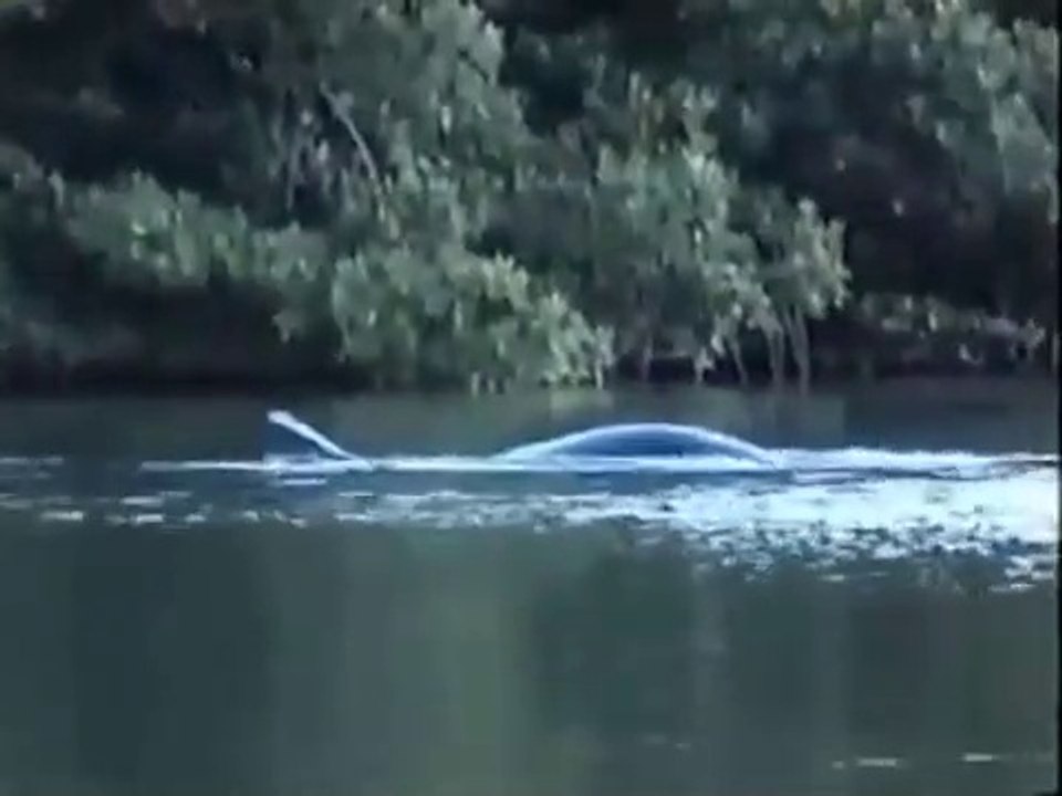 Loch Ness Monster Caught On Tape (In Real Life FOOTAGE) Nessie Monster