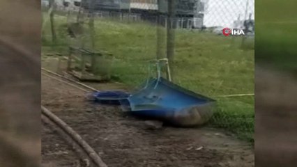 Başıboş köpekler yaklaşık 50 küçükbaş hayvanı telef etti