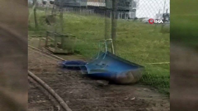 Başıboş köpekler yaklaşık 50 küçükbaş hayvanı telef etti