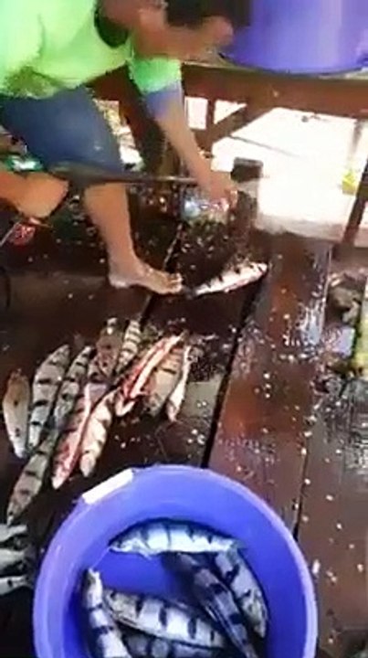 Balık nasıl temizlenir?