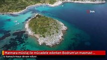 Marmara müsilaj ile mücadele ederken Bodrum'un masmavi suları göz kamaştırıyor