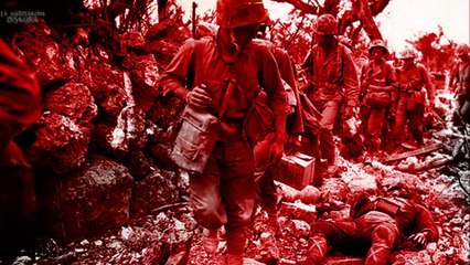 La Carnicería Humana Más Pavorosa Provocada Por Animales