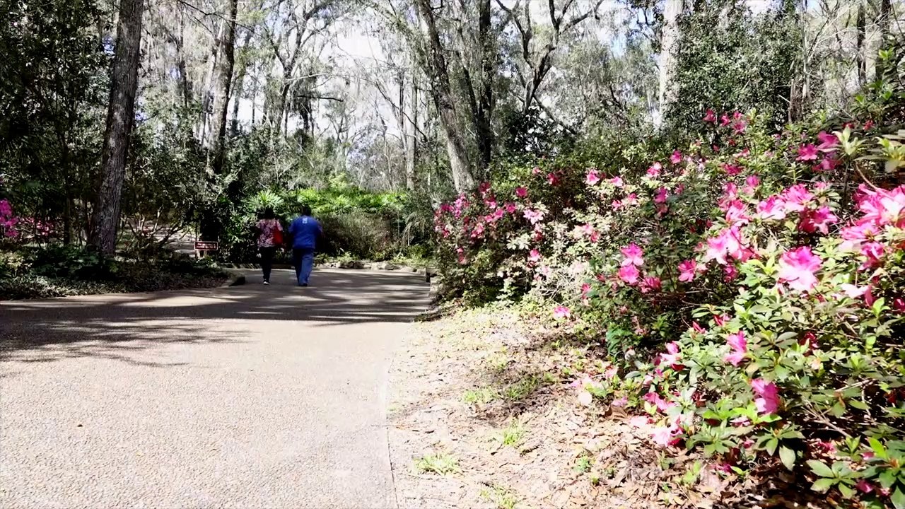 Rainbow Springs State Park  (Dunnellon, FL) - Travel VLOG Video Tour & Review