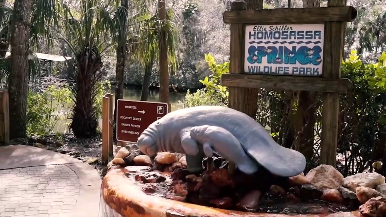 Homosassa Springs State Wildlife Park (Homosassa, FL) - Travel VLOG Video Tour & Review