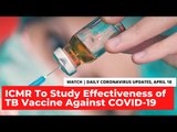 Coronavirus Updates, April 18: ICMR To Study Effectiveness of TB Vaccine Against COVID-19