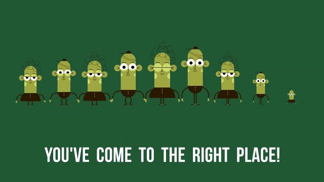 Call Us Today For Mold Removal Palm Bay - We'll Save Your Home From Mold