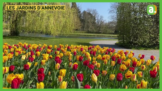 Visite des Jardins d'Annevoie