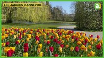 Visite des Jardins d'Annevoie
