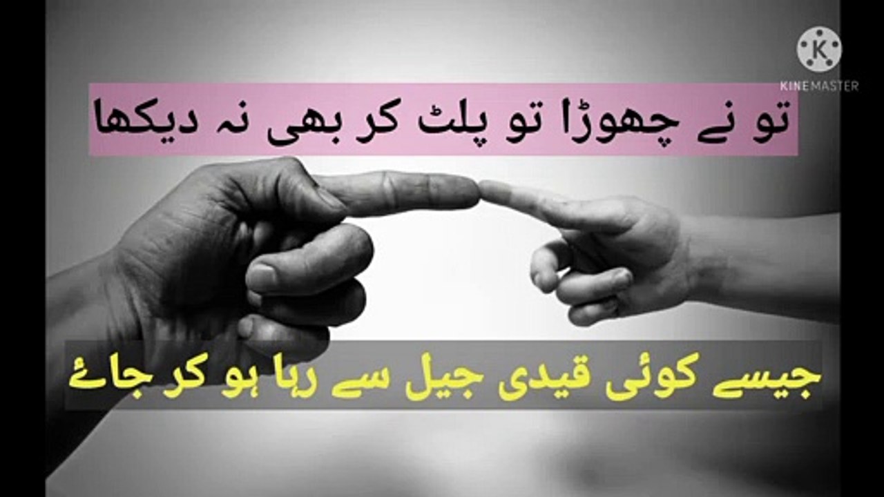 Sad poetry WhatsApp status video by Fatima sana