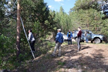 Sarıçam ormanlarındaki fotokapanların kırılmasına tepki