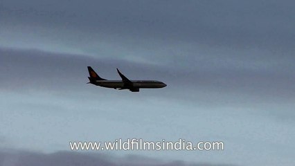 A plane flying high in the sky