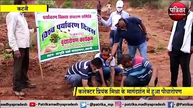 विश्व पर्यावरण दिवस पर पौधारोपण कार्यक्रम