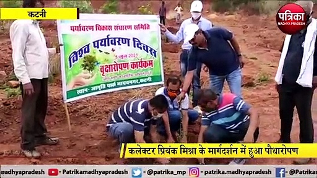 शहर में एक साथ लगाए गए हजारों पौधे, कलेक्टर और...