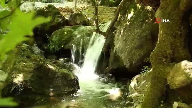 Emendere çileği tadını termal sulardan alıyor