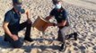Sardegna - Cento chili di sabbia rubata tornano nelle spiagge (05.06.21)