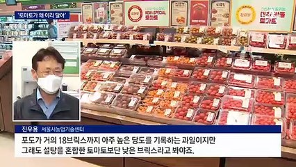 ‘스테비아 토마토’ 인기…당 걱정은 뺐지만 가격은 비싸