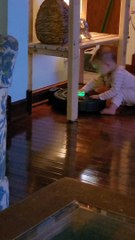 Girl Runs Away After Waking up Roomba