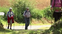 I pellegrini tornano sul Cammino di Santiago con l'indulgenza plenaria premio