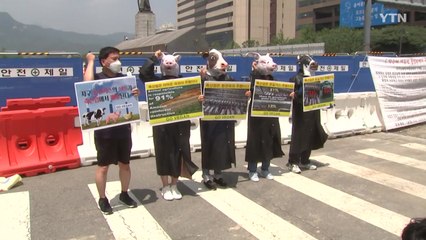 '환경의 날' 맞아 환경단체 곳곳 도심 행사 / YTN