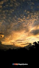 beautiful evening time natural video, putham pudhu song whatsapp status