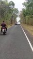 Two Tigers walking on busy road || Tiger spotted in Forest area Epic Reaction by people's |