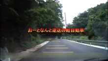 流石〇山県のドライバー( ﾟДﾟ)