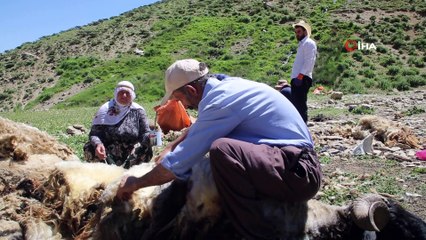 Huzur ortamının sağlandığı yaylalarda türküler yankılanıyor
