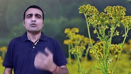 धर्म का वास्तविक स्वरूप क्या है_ what is religion in hindi.