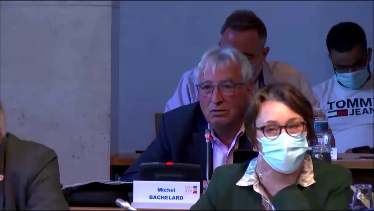 Michel BACHELARD (VST).  Discussion générale. Session du 31 mai 2021 (version sous-titrée)