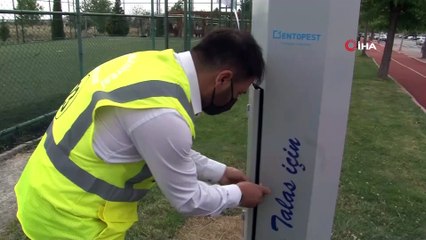 Kentte bir ilk 'Sinek tespit ve kontrol noktası'