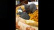 Omg So Cute Pets ♥ Cute Baby Animals & Funny Pets Video Compilation