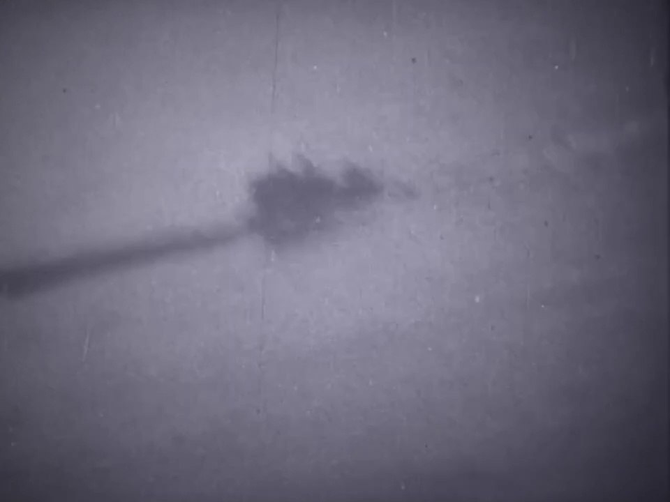 RAF Mosquitos of No. 248 Squadron attack German submarine U-821 in the Bay of Biscay west of Brest 10 June 1944