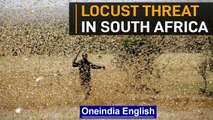 South Africa: Locusts swarms threaten farm production | Oneindia News