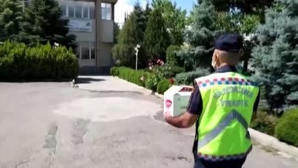 Jandarmanın bulduğu yaralı balaban kuşu tedavi altına alındı