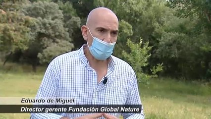 Reimaginar, recrear y restaurar para conservar el planeta