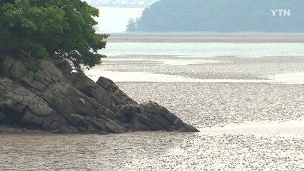 낯선 섬 '세어도'...수도권의 갯벌정원 된다 / YTN