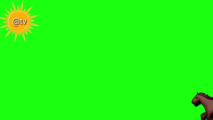 greenscreen horse running 
