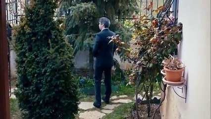 مسلسل وادي الذئاب الجزء التاسع مترجم الحلقة 50