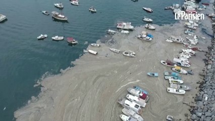 La Turquie envahie par la « morve de mer »